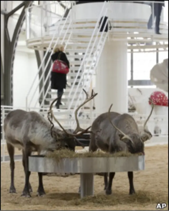 Renas comem na exposição Soma, em Berlim