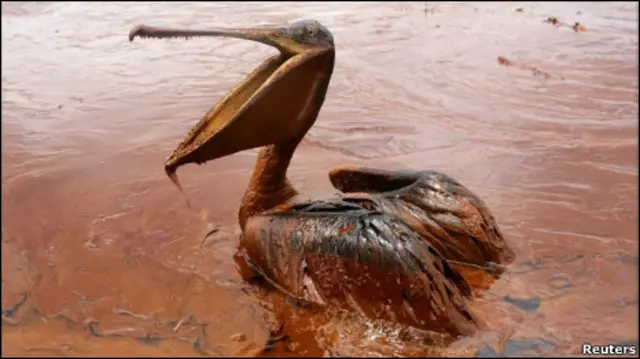 मैक्सिको की खाड़ी में हुआ तेल का रिसाव अमरीका के इतिहास में अब तक की सबसे भीषण पर्यावरण संबंधी दुर्घटना है.