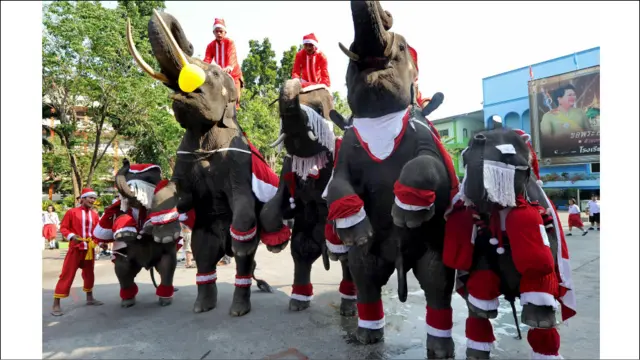 د سانتا کلوز (بابا نویل) په جامه کې فیلان په تايلنډ کې پر زده کوونکو ډالۍ وېشي