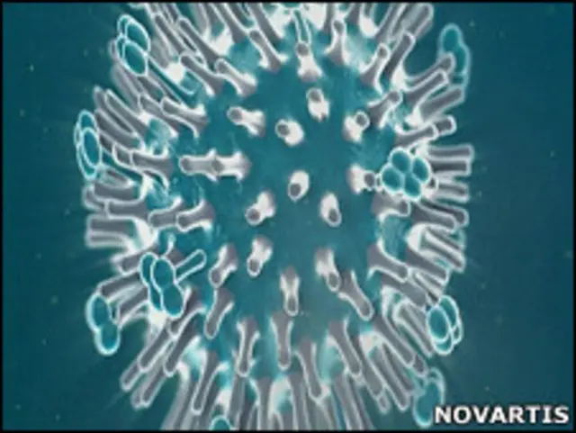 甲型H1N1流感病毒(电脑模拟图片)