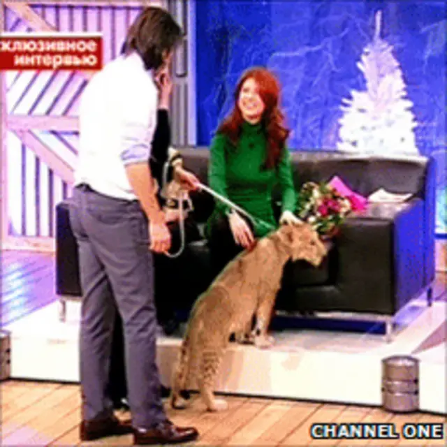 Анна Чэпман со львенком