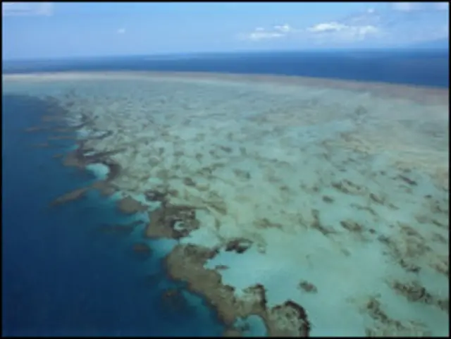 Lixo levado pelas águas ameaça barreira de corais