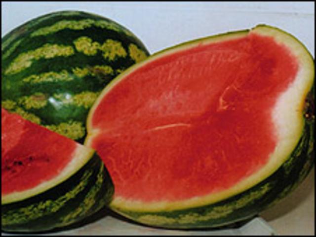 Argentina: crean una golosina 