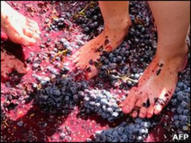 Армянские женщины топчут виноград ногами