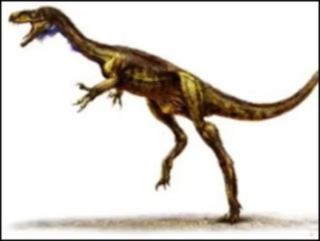 دونده سپیده دم