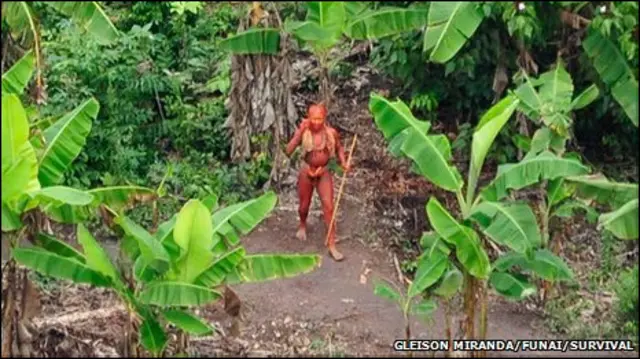 Индейцы племени Паноа