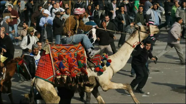 Kawan penunggang kuda dan unta menyerang massa anti-Mubarak