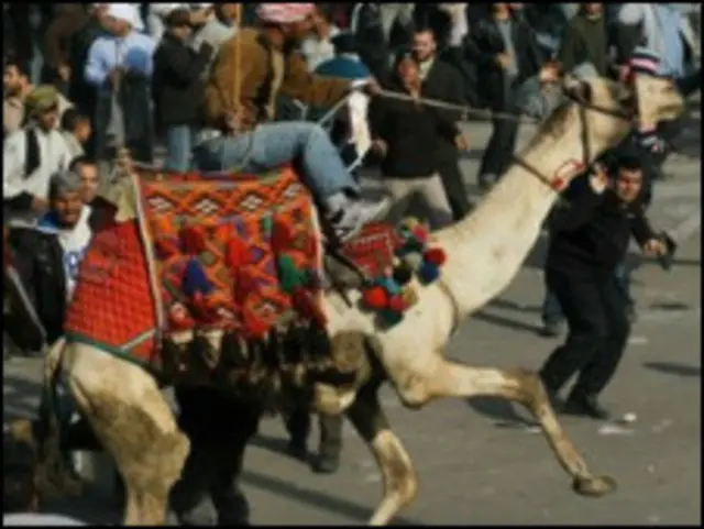 開羅示威對立派別發生激烈衝突