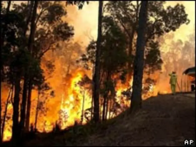 澳大利亚珀斯郊区的林火(06/02/2011)
