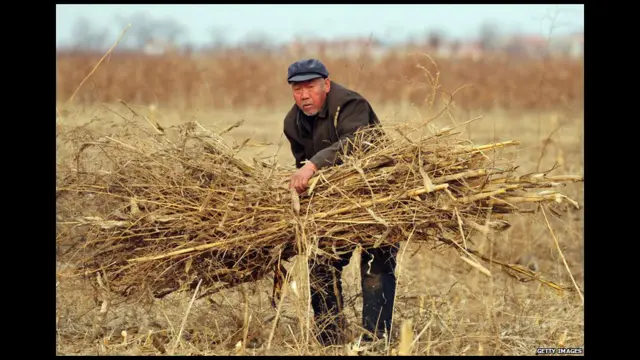 Nhà nông bắt đầu được hưởng lợi nhiều hơn nhờ vậy sản lượng lương thực gia tăng, tạo điều kiện cho lao động chuyển sang các ngành nghề khác như hãng xưởng và doanh nghiệp nhỏ.
