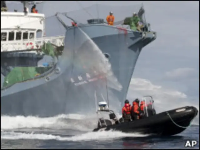 व्हेल का शिकार स्थगित