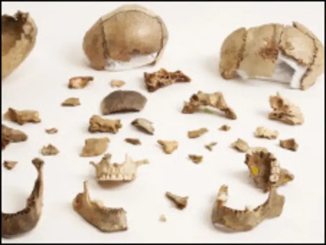 Древние черепа