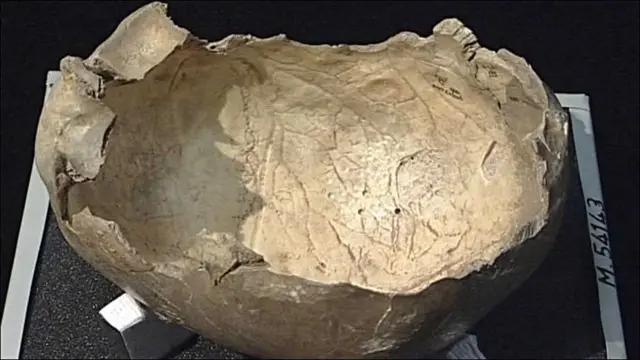 被认为是吃人族用作碗的头颅骸骨