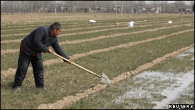 Petani di Henan, RRT