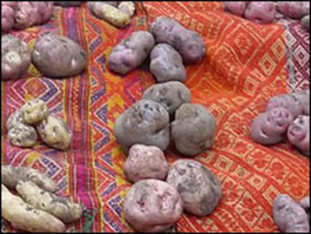 Imagen: Asociación Andes