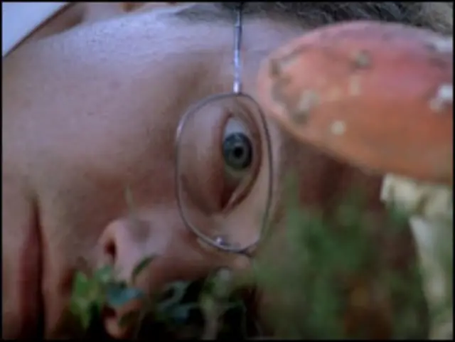 Владимир Епифанцев