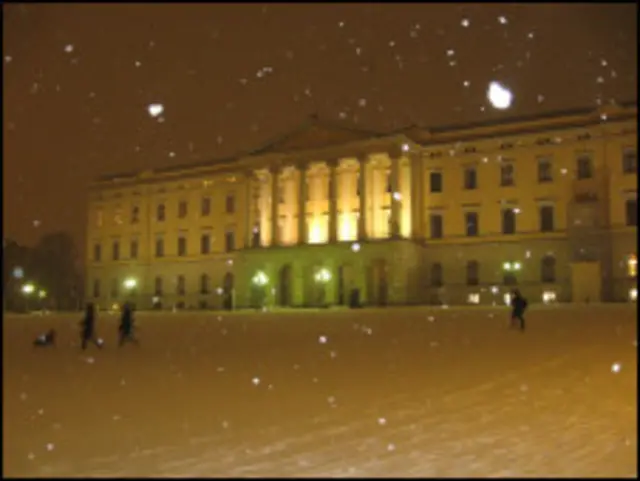 Біля королевського палацу в Осло можна гуляти із собакою або кататися на санчатах - норвезькій королеві Соні нема чого боятися своїх підданих