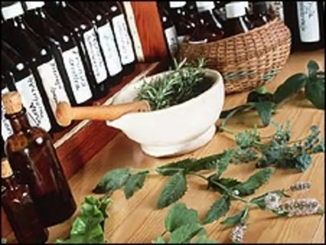 प्राचीन ग्रीस में दवाएं बनाने में ख़ास पौधों का इस्तेमाल होता था