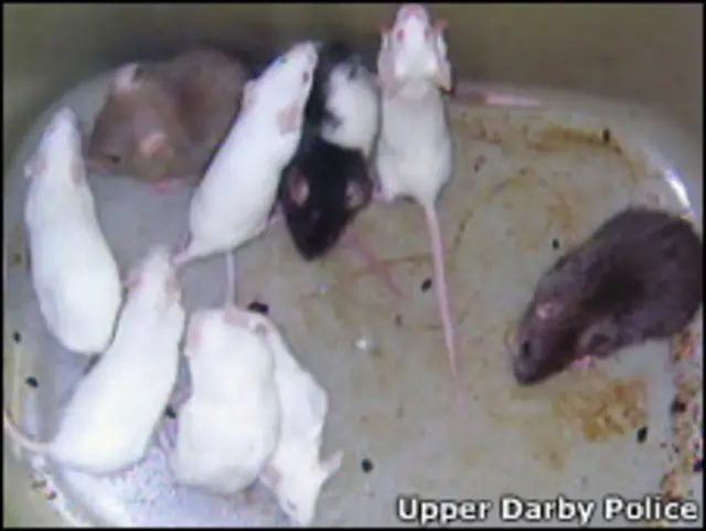 Foto: Upper Darby Police