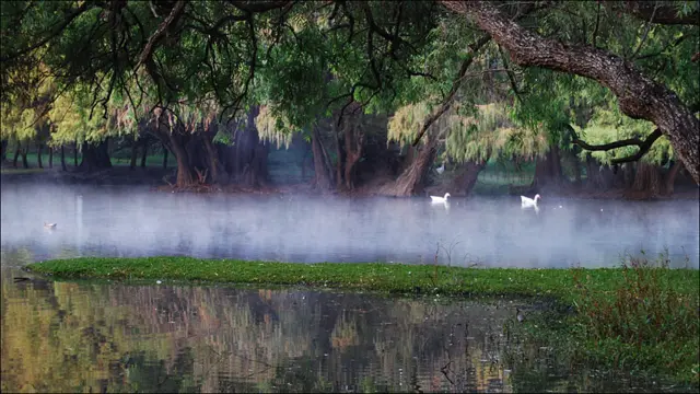 Foto de Diego Bermúdez