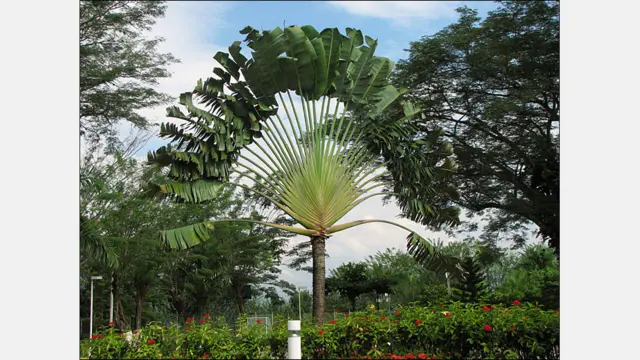 Foto de Héctor Hernández