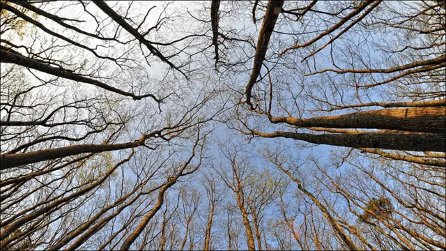 Foto de Gustavo Acosta