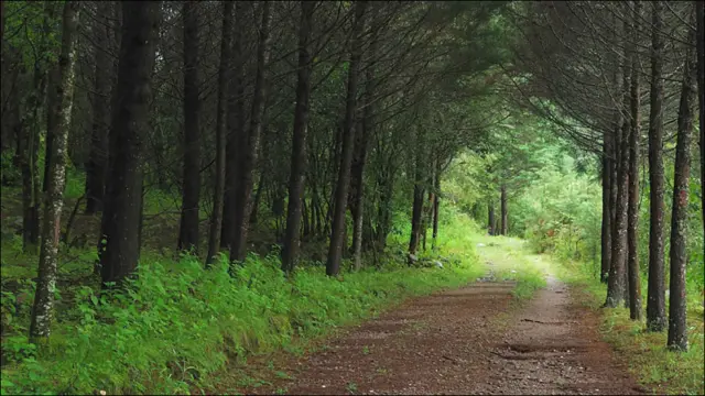 Foto de Ramiro Escobar