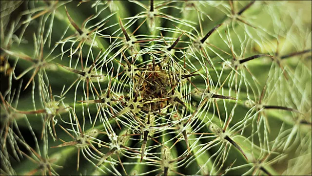 Foto de José Carlos