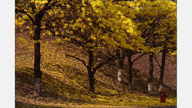 Foto de David Figuera