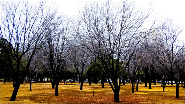 Foto de Rafael Blanca Cervantes