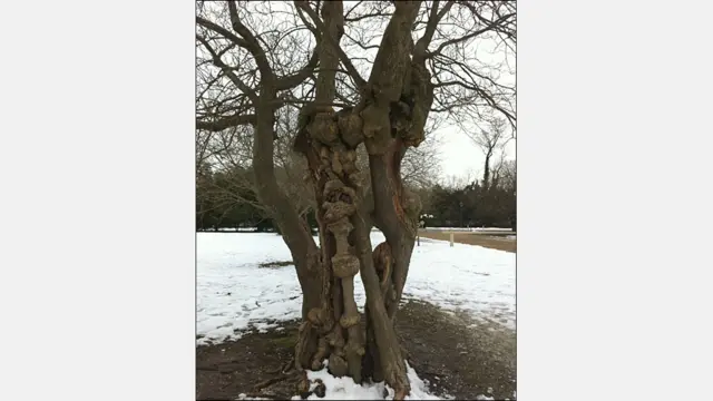 Foto de Diana Milena Álvarez