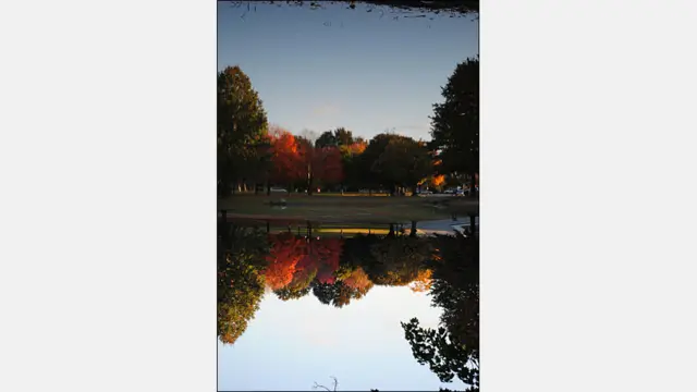 Foto de Celina Grisi