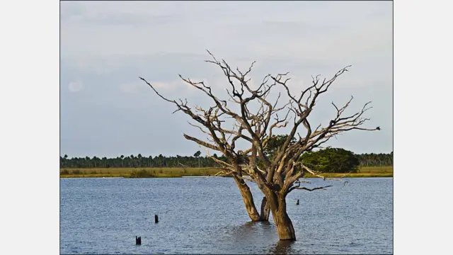 Foto de Fernando Padrón
