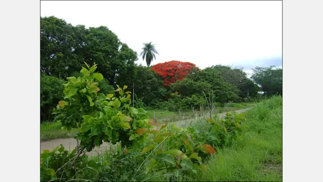 Foto de Jahir Artigas