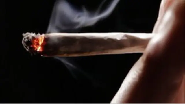 Ganja atau mariyuana diklaim memiliki banyak manfaat tak hanya untuk dihisap.