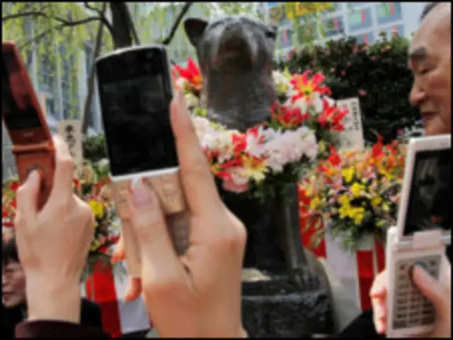 टोक्यू के शिबूया स्टेशन के पास हचिको की मूर्ति