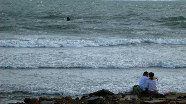 José Luis Villanueva Palacios