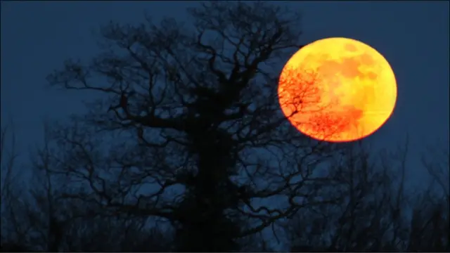 英国超级大明月