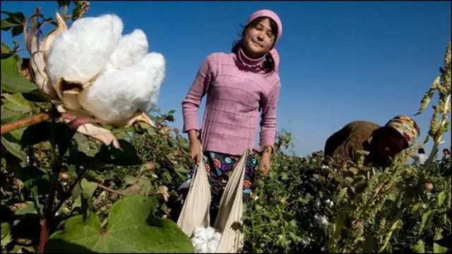 пахта тераётган қизалоқ