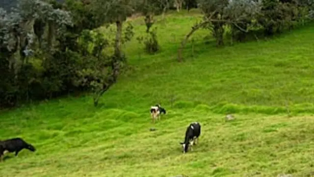 Paisaje rural en Colombia