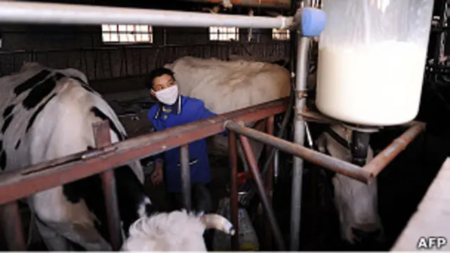 Peternak susu di Cina