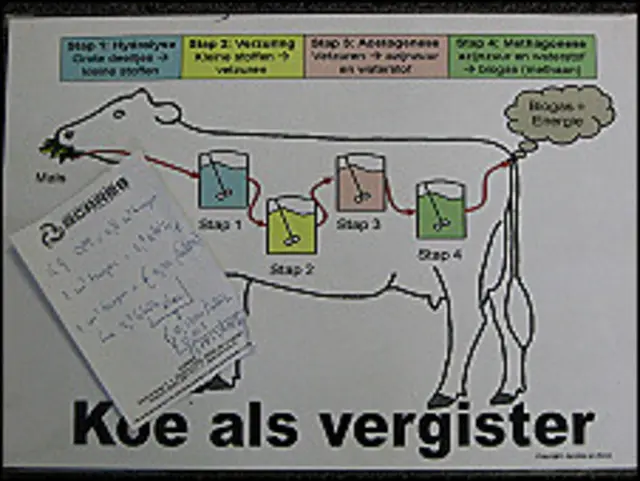 Західні банкіри намагаються підрахувати не надої, а те, наскільки ризикованими є інвестиції у перетворення гною на енергію
