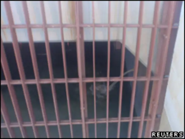 جوہری پلانٹ