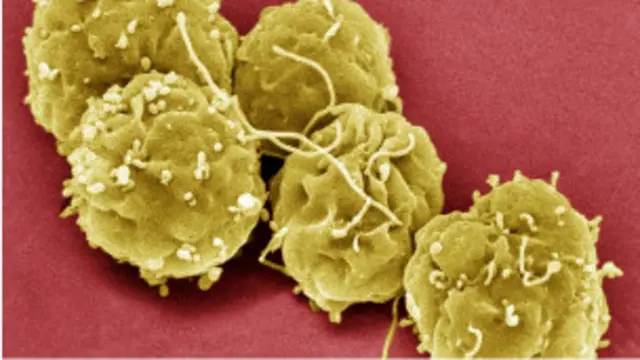 څېړونکې ډلې غږ کړی چې داسې اړین ګامونه دې واخیستل شي چې د شپې لخوا د بوختو دنده والو روغتیا وده ومومي.