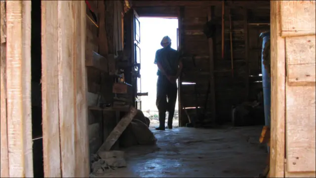 Виньялес (фото и текст Анны Висенс)