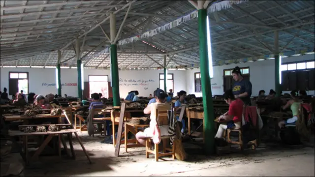 Виньялес (фото и текст Анны Висенс)