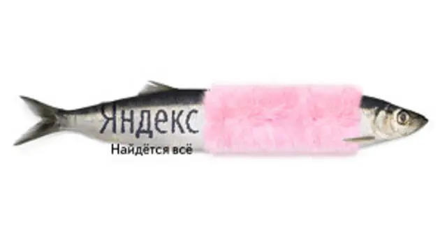 Фотография взята с сайта ya.ru