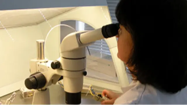 Сотрудник центра оплодотворения