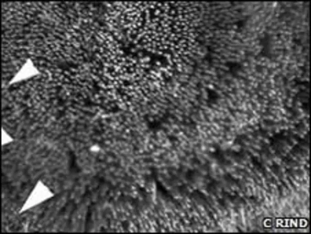 Шовкові нитки