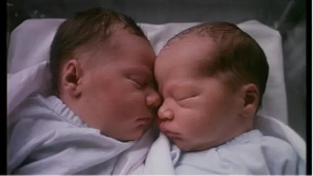 Братья, которые решают вести бизнес вместе, часто добиваются больших успехов